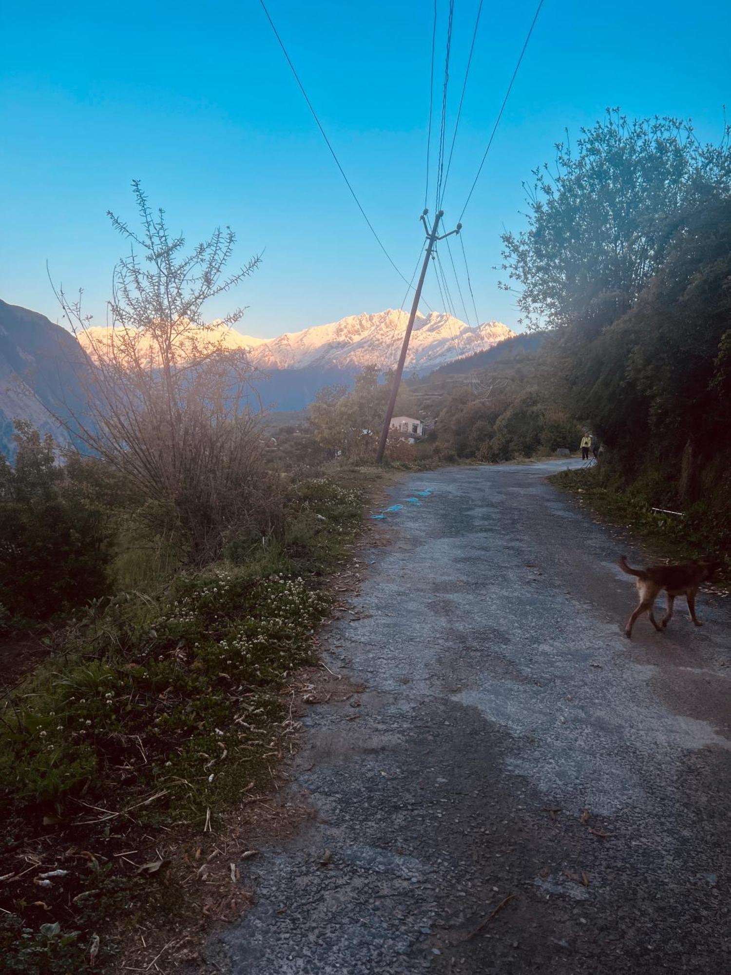 Faraway Cottages, Auli Joshīmath Buitenkant foto