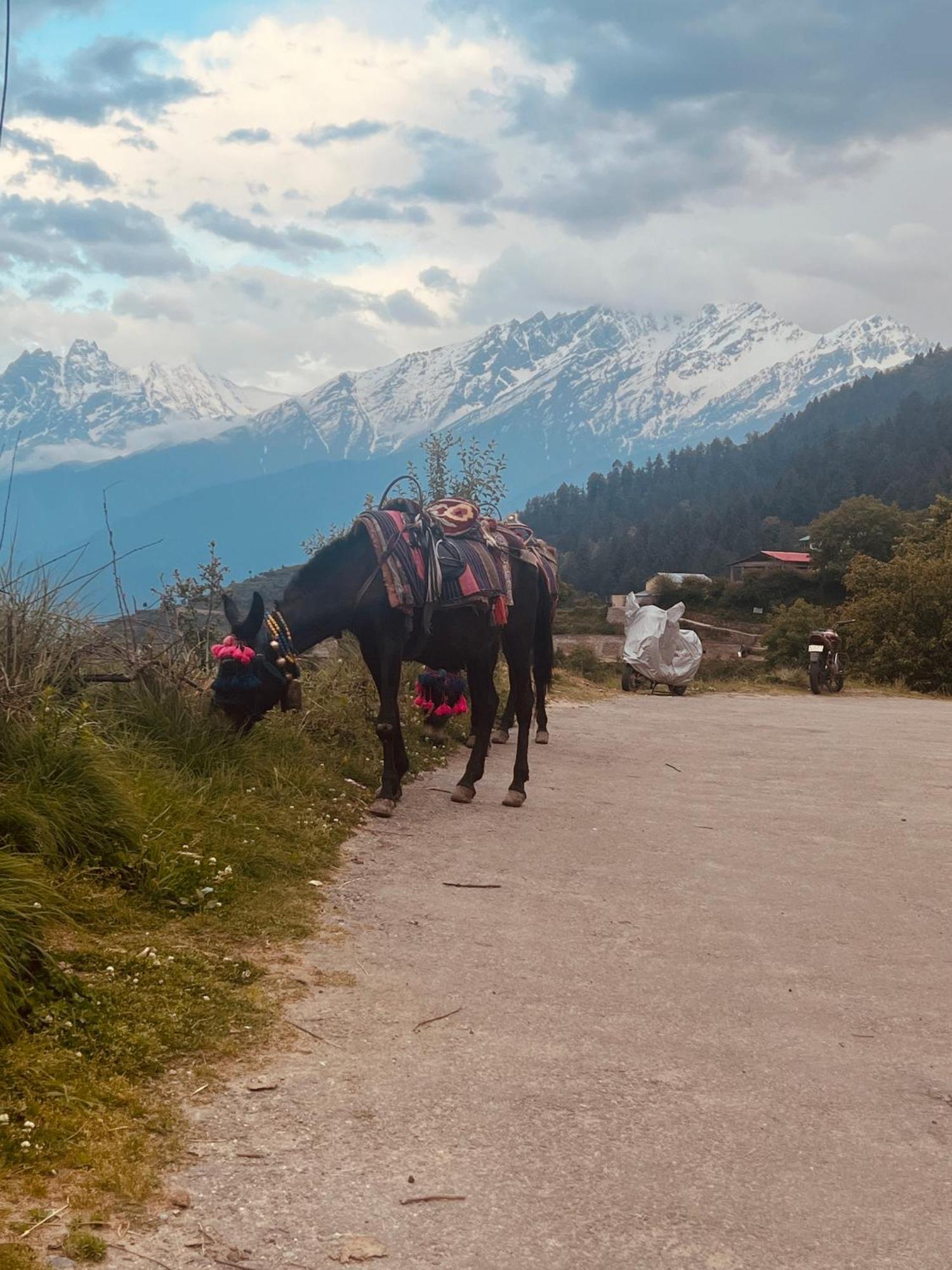 Faraway Cottages, Auli Joshīmath Buitenkant foto