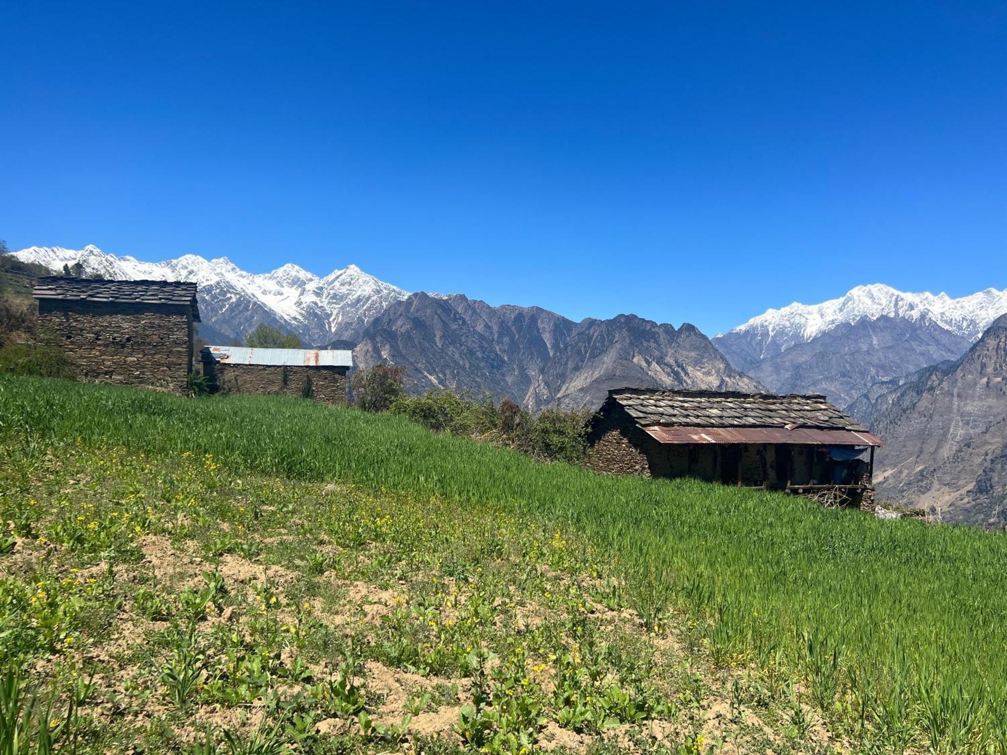 Faraway Cottages, Auli Joshīmath Buitenkant foto