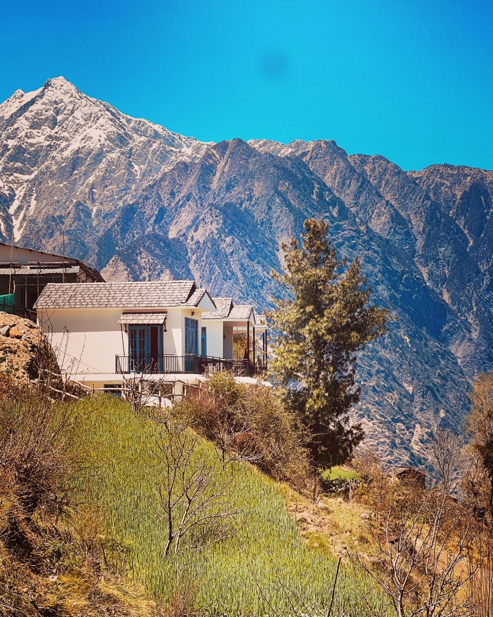 Faraway Cottages, Auli Joshīmath Buitenkant foto